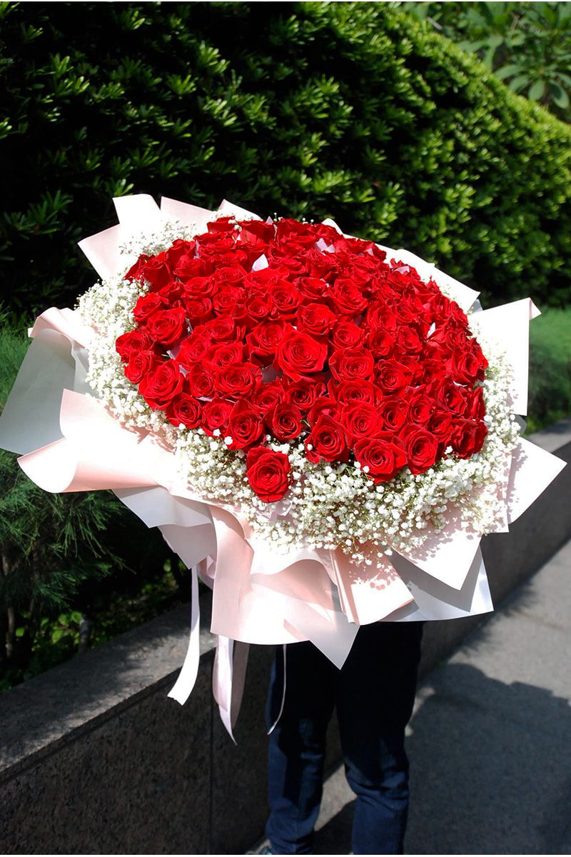 進口大玫瑰Columbia Rose